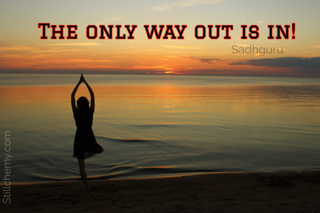 Sadhguru Isha Yoga Quotes