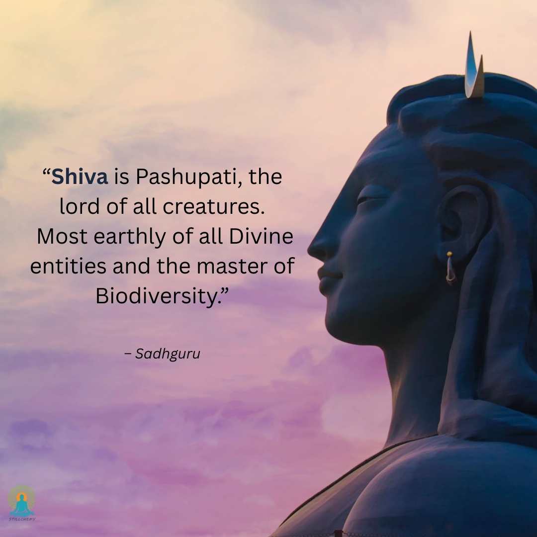 Adiyogi Shiva Quotes