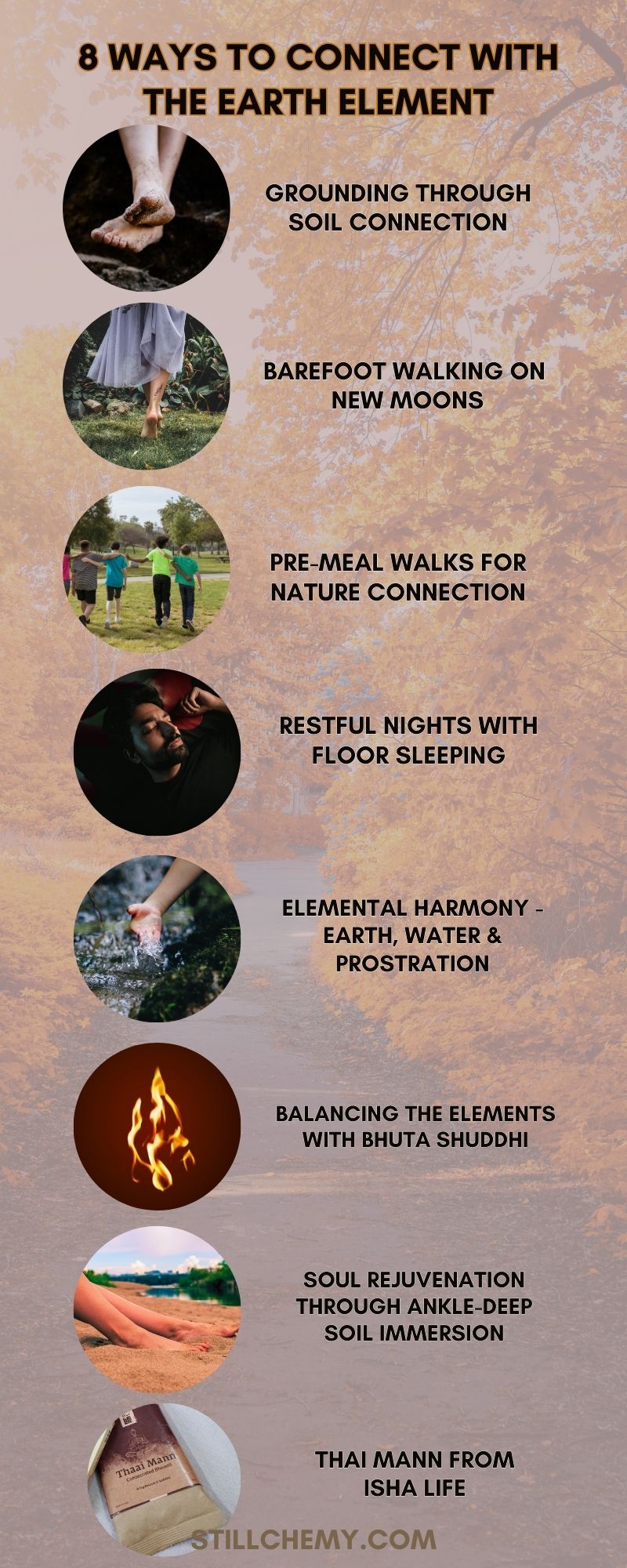 8 Ways to Foster a Deeper Connection with the Earth Element - Stillchemy