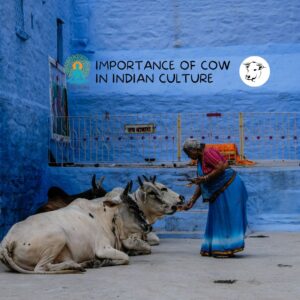 Significance of Cows in Indian Culture